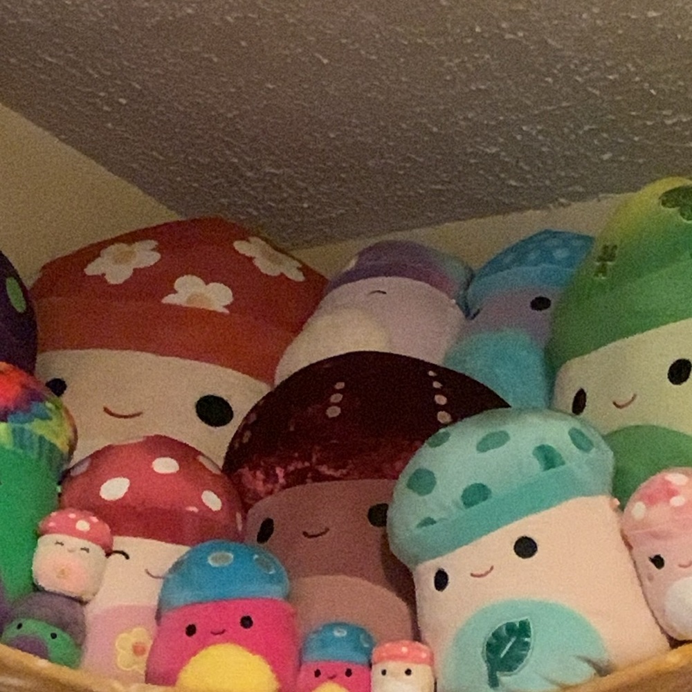 HUGE Mushroom Squishmallow bundle NWT, almost every mushroom squishmallow - Picture 3 of 11